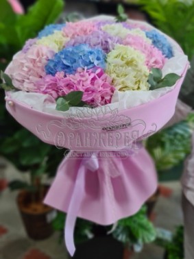 Мелания